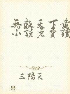 无敌天下黄小龙小说免费读