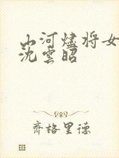 山河烬将女为凰沈云昭