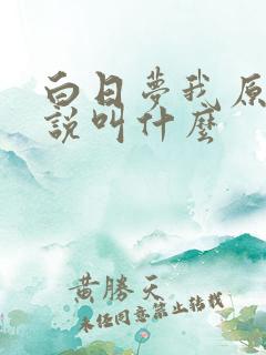 白日梦我原著小说叫什么