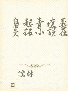 枭起青壤聂九罗炎拓小说在线阅读全文