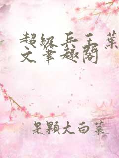 超级兵王叶谦全文笔趣阁