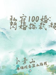 私宠100婚:闪婚总裁超霸道