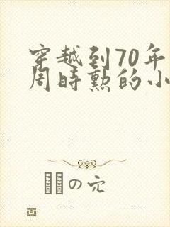 穿越到70年代周时勋的小说
