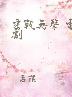 密战无声 电视剧