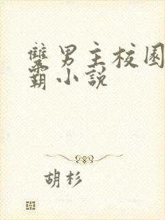 双男主校园双学霸小说