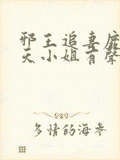 邪王追妻废材逆天小姐有声书