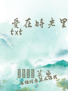 爱在时光里流转txt