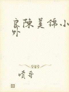 良陈美锦小说番外