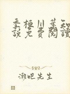 季桓川叶知意小说免费阅读最新章节