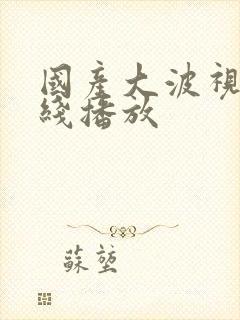 国产大波视频在线播放