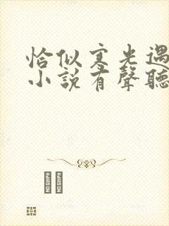 恰似寒光遇骄阳小说有声听书免费