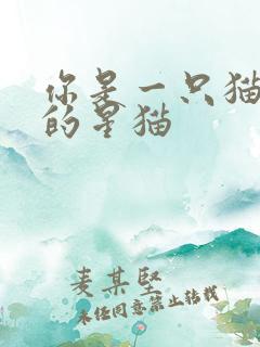 你是一只猫快乐的星猫