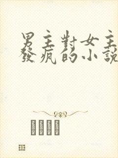 男主对女主爱到发疯的小说