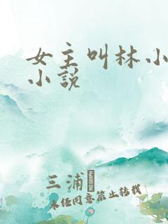 女主叫林小鱼的小说