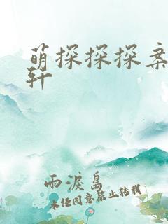 萌探探探案宋亚轩