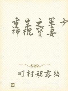 重生之军少枭宠神棍宝妻