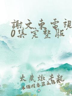 谢文东电视剧40集完整版