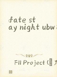 fate stay night ubw线攻略