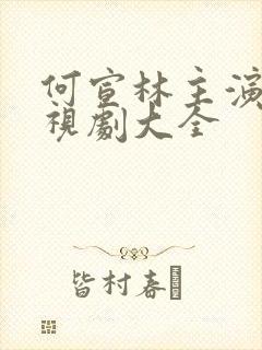 何宣林主演的电视剧大全