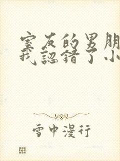 室友的男朋友把我认错了小说