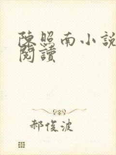 陈照南小说在线阅读