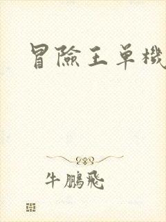 冒险王单机下载