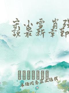 宋小雪 肖强小说最新章节阅读全文