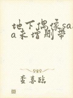 地下偶像sana未增删带