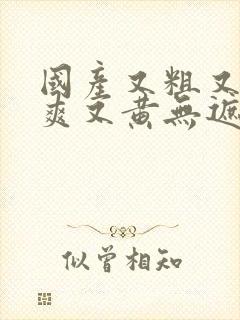 国产又粗又猛又爽又黄无遮挡