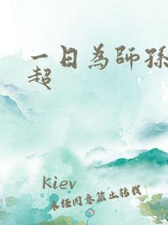 一日为师孙敏李超