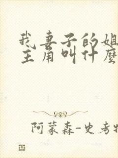 我妻子的姐姐女主角叫什么