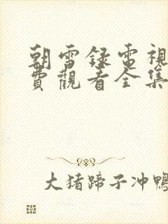 朝雪录电视剧免费观看全集完整版