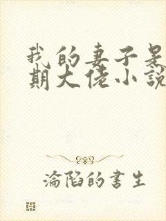 我的妻子是大乘期大佬小说在线