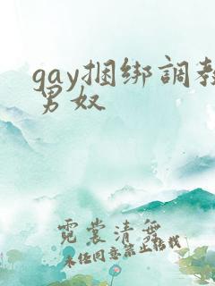 gay捆绑调教男奴