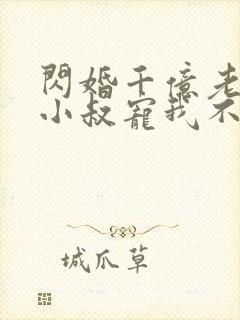 闪婚千亿老公,小叔宠我不停书籍