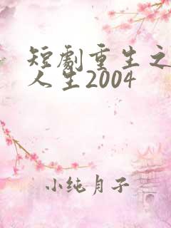 短剧重生之飞驰人生2004