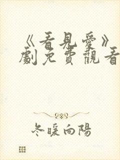 《看见爱》电视剧免费观看