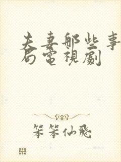 夫妻那些事大结局电视剧