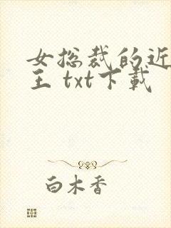 女总裁的近身兵王 txt下载