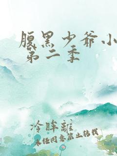 腹黑少爷小甜妻 第二季