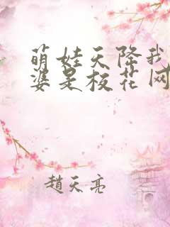 萌娃天降我的老婆是校花网剧