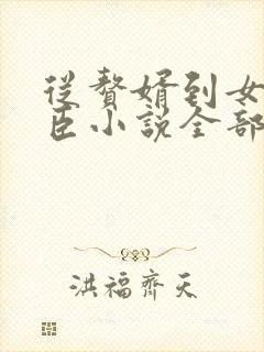 从赘婿到女帝宠臣小说全部章节