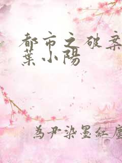 都市之破案狂少叶小阳