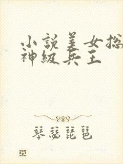 小说美女总裁的神级兵王