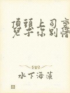 顶头上司变后妈儿子你别懵短剧结局