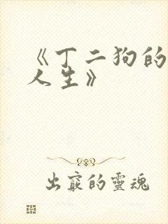《丁二狗的逆袭人生》