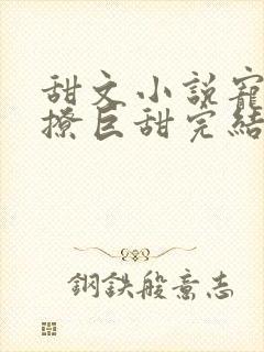 甜文小说宠文巨撩巨甜完结