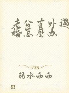 老公有外遇要离婚怎么办