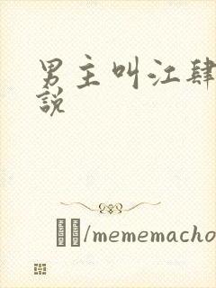 男主叫江肆的小说