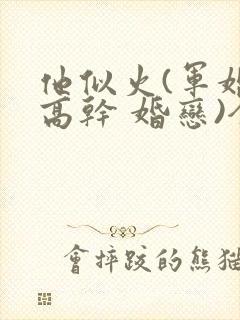 他似火(军婚 高干 婚恋)全文免费阅读